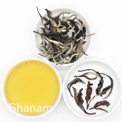 Công Dụng Trà Shan Tuyết 