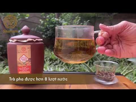 huong dan pha chum tra bach tra