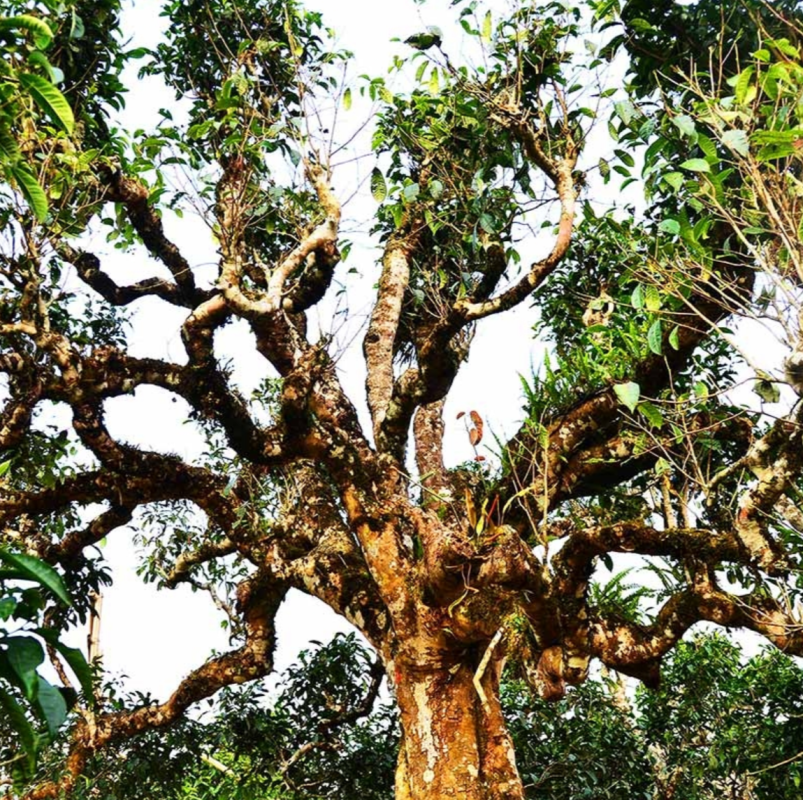 screenshot 1751887206